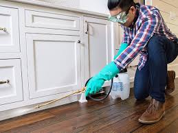 Best Pest Exclusion Services  in Brooklyn, IN