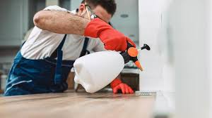 Best Pest Prevention Services  in Brooklyn, IN